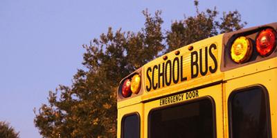 A cropped image showing the back of a yellow school bus with a tree and blue sky in the background.